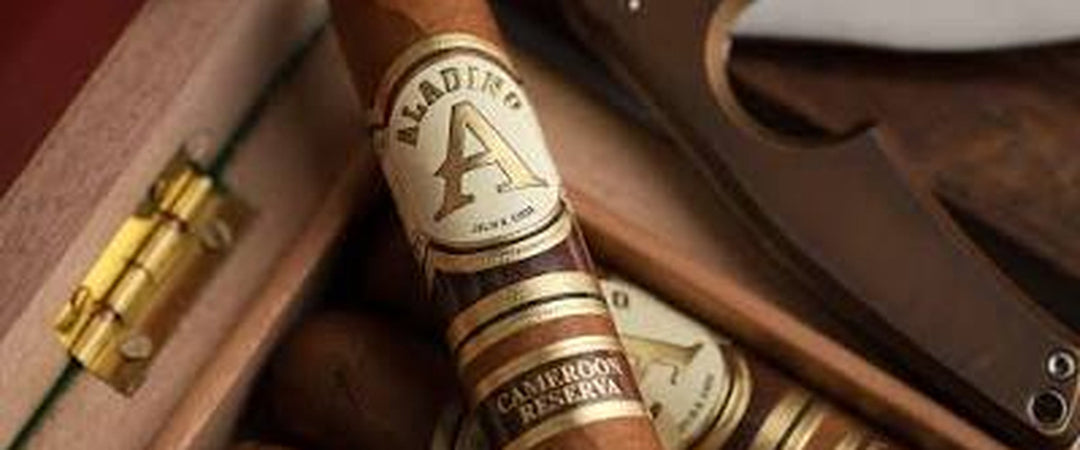 Aladino Cameroon Reserva