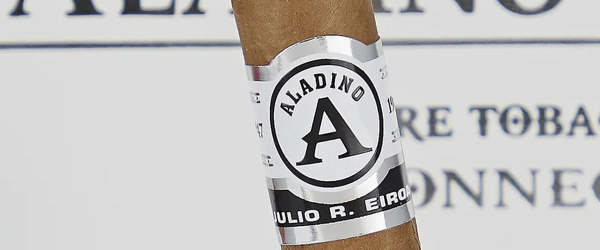 Aladino Connecticut