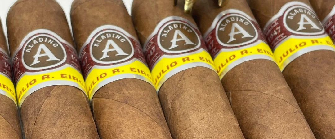 Aladino Corojo