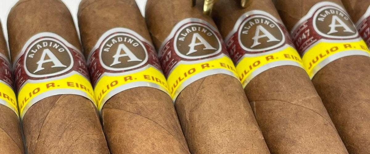 Aladino Corojo