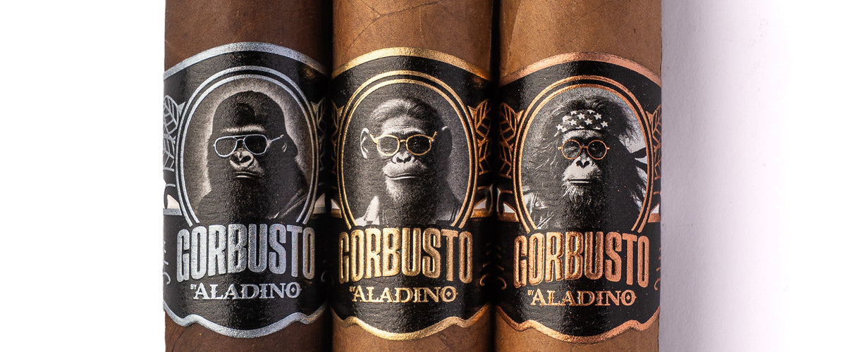 Aladino Gorbusto
