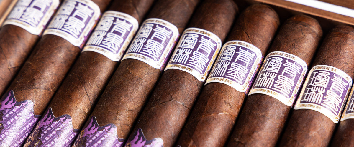 ChiMolly Pioneer premium cigars at TRP Cigars