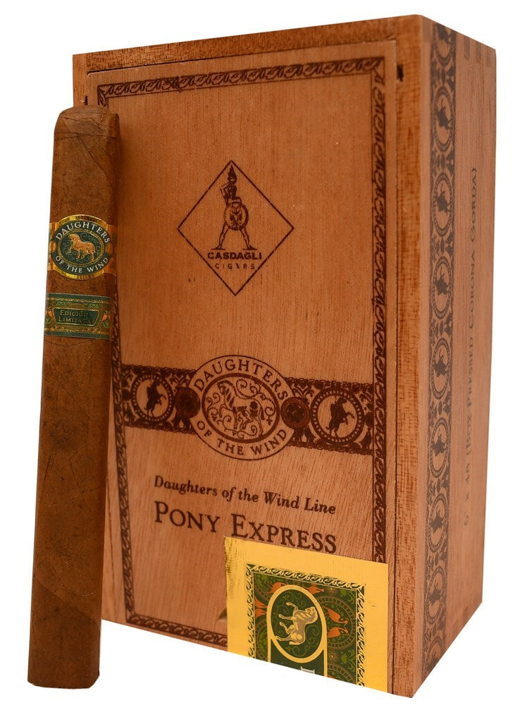 Casdagli Daughters of The Wind Pony Express LE (Toro BP) (6.0" x 48)