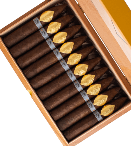 Cavalier Geneve Black II Series Viso Jalapa Petit No. 2 (Robusto) (4.75" x 52)