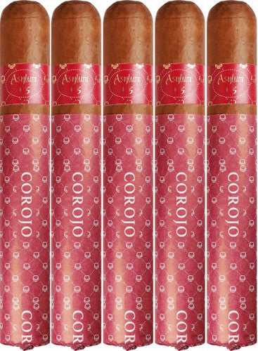 Asylum 13 Corojo Sixty (Gordo) (6.0" x 60) | Bold Full-Bodied Nicaraguan Cigar