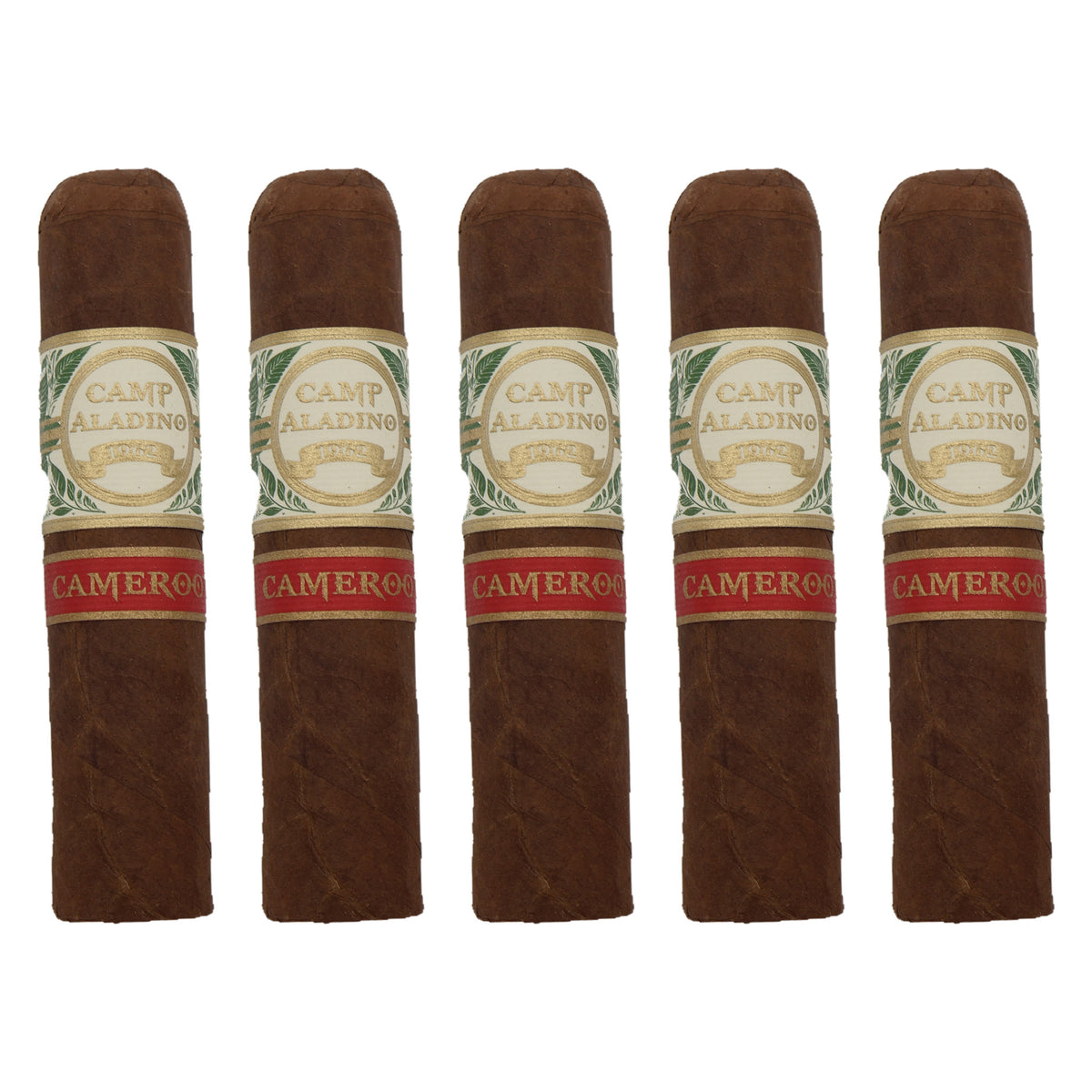 Five Camp Aladino Cameroon Gorbusto cigars, 4.5 × 60, lined up side by side