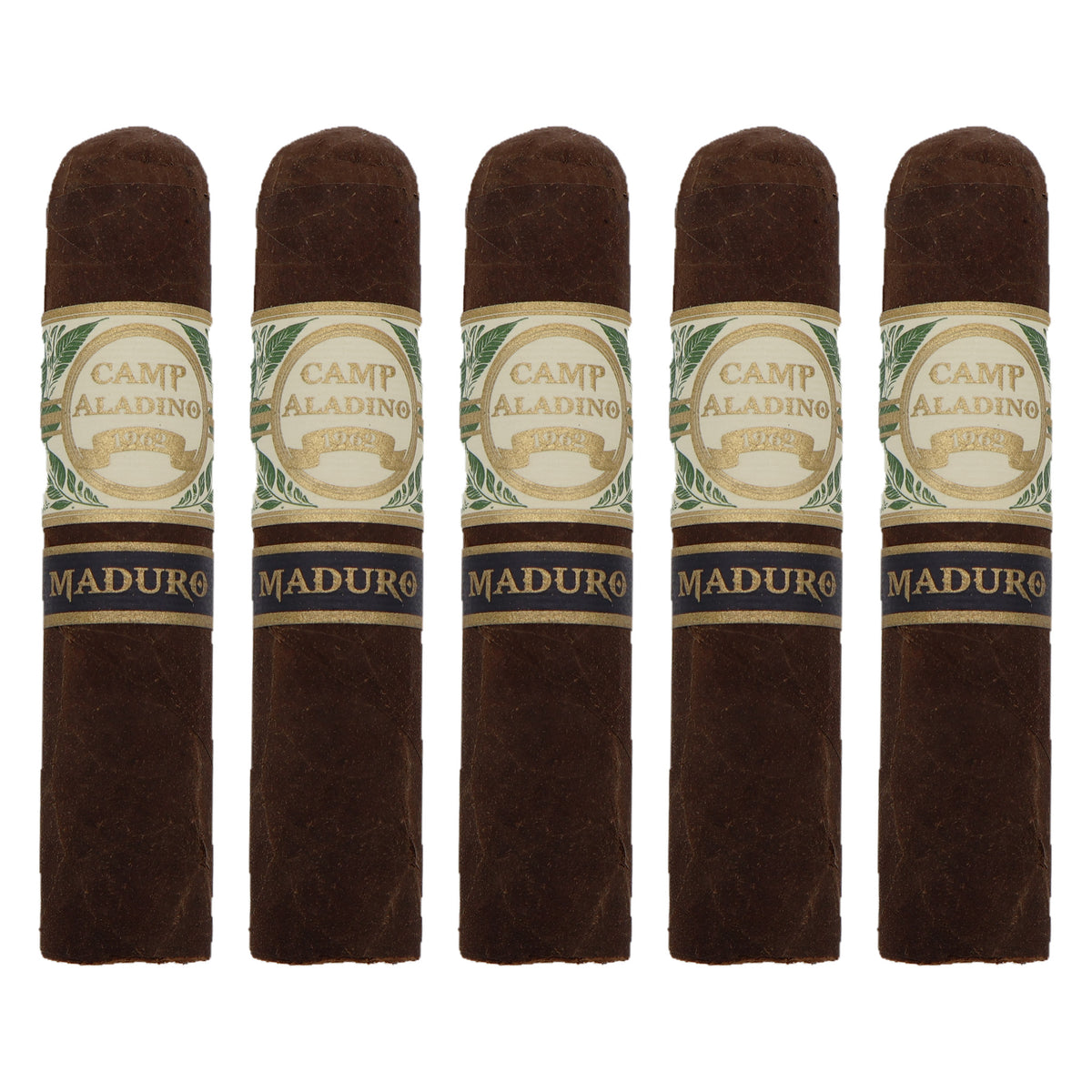Five Camp Aladino Maduro Gorbusto cigars, 4.5 × 60, lined up side by side