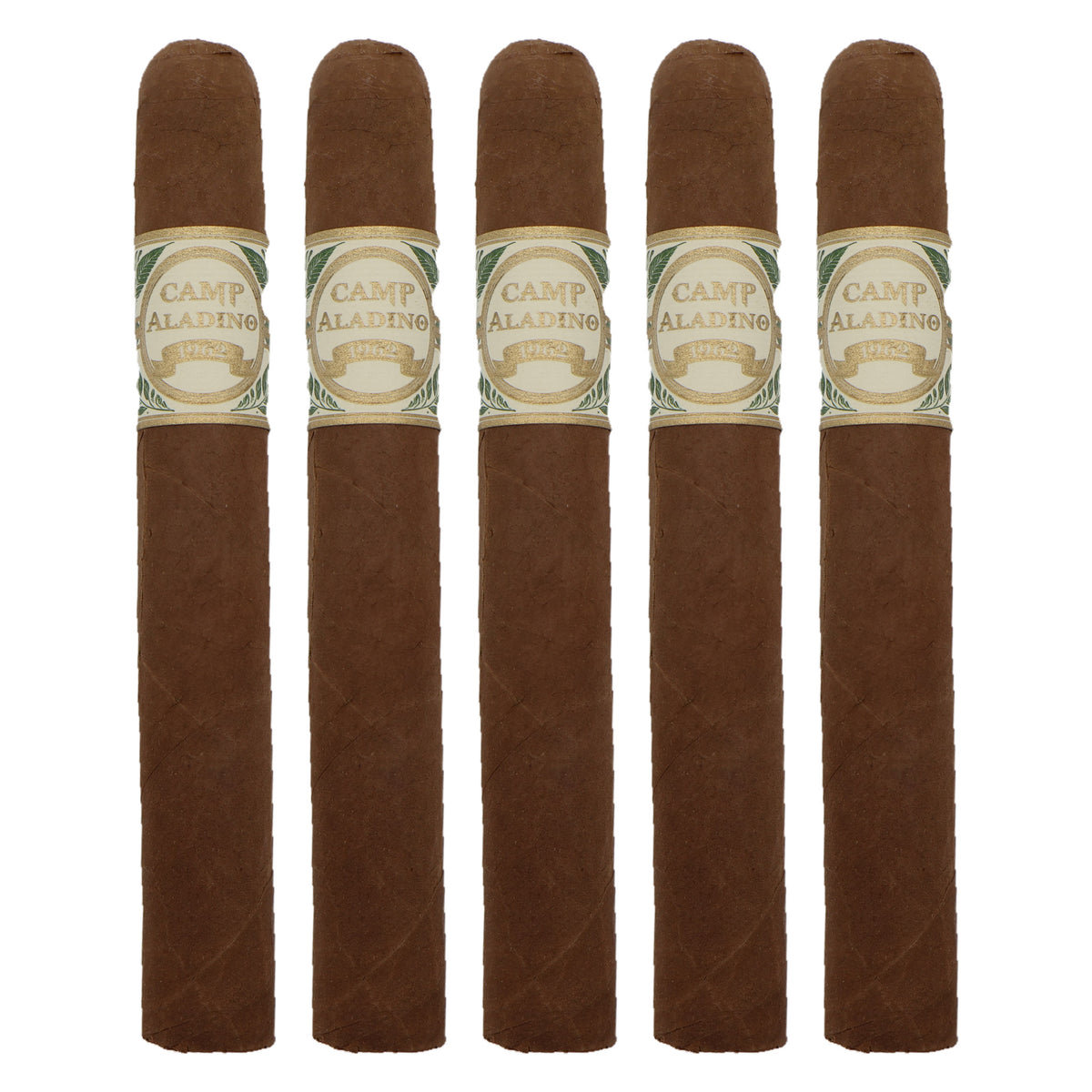 Five Camp Aladino Toro cigars, 6 × 52, lined up side by side