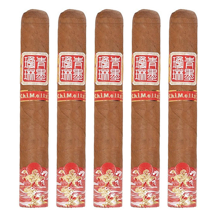 Five ChiMolly Pangu Robusto E cigars, 5.5 × 52, lined up side by side
