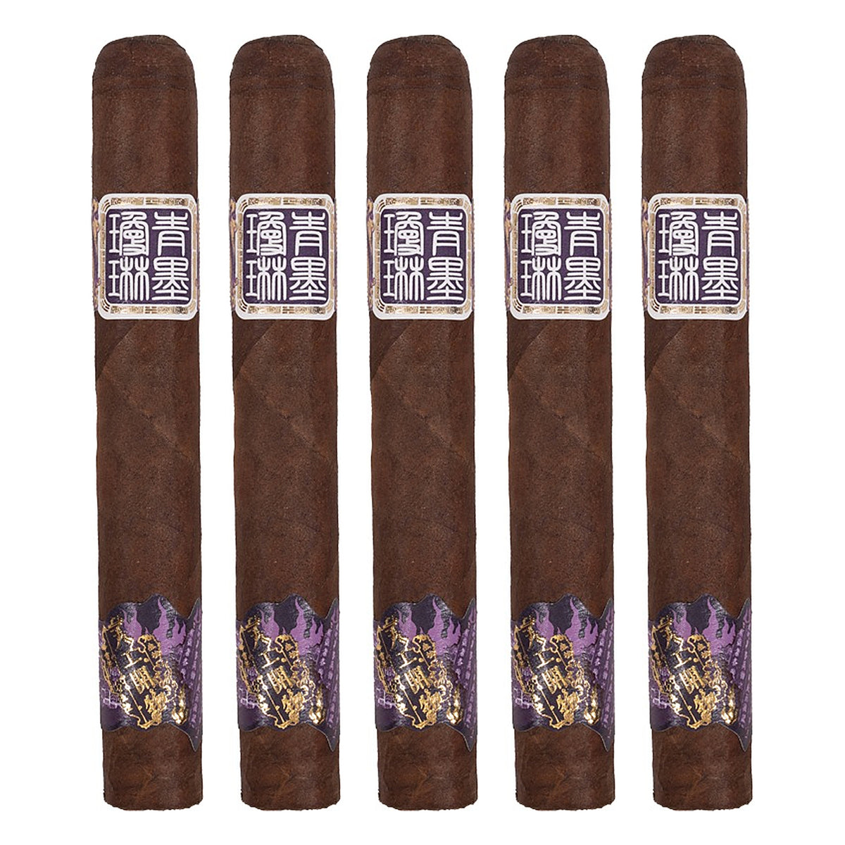 Five ChiMolly Pioneer Robusto E cigars, 6.0 × 52, lined up side by side