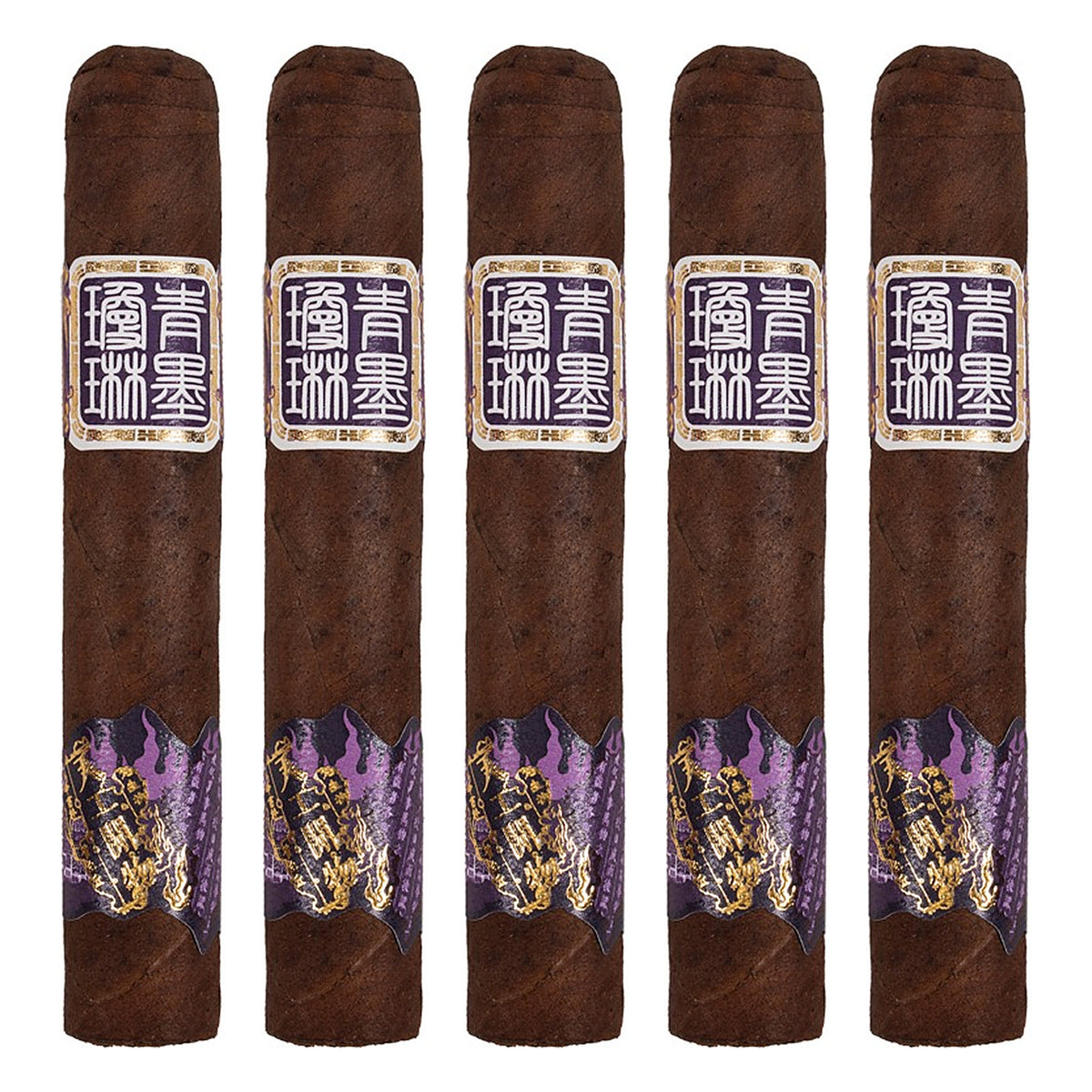 Five ChiMolly Pioneer Robusto cigars, 5.0 × 50, lined up side by side