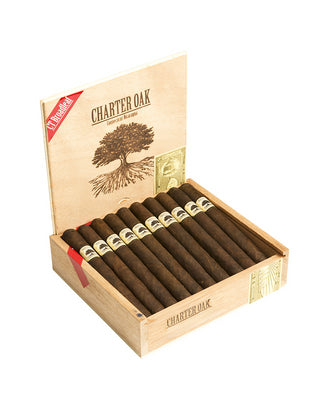 Foundation Charter Oak Maduro (Grande) (6.0" x 60)