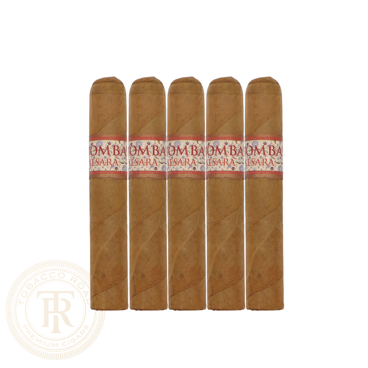 MBombay Kesara Robusto Pack of 5