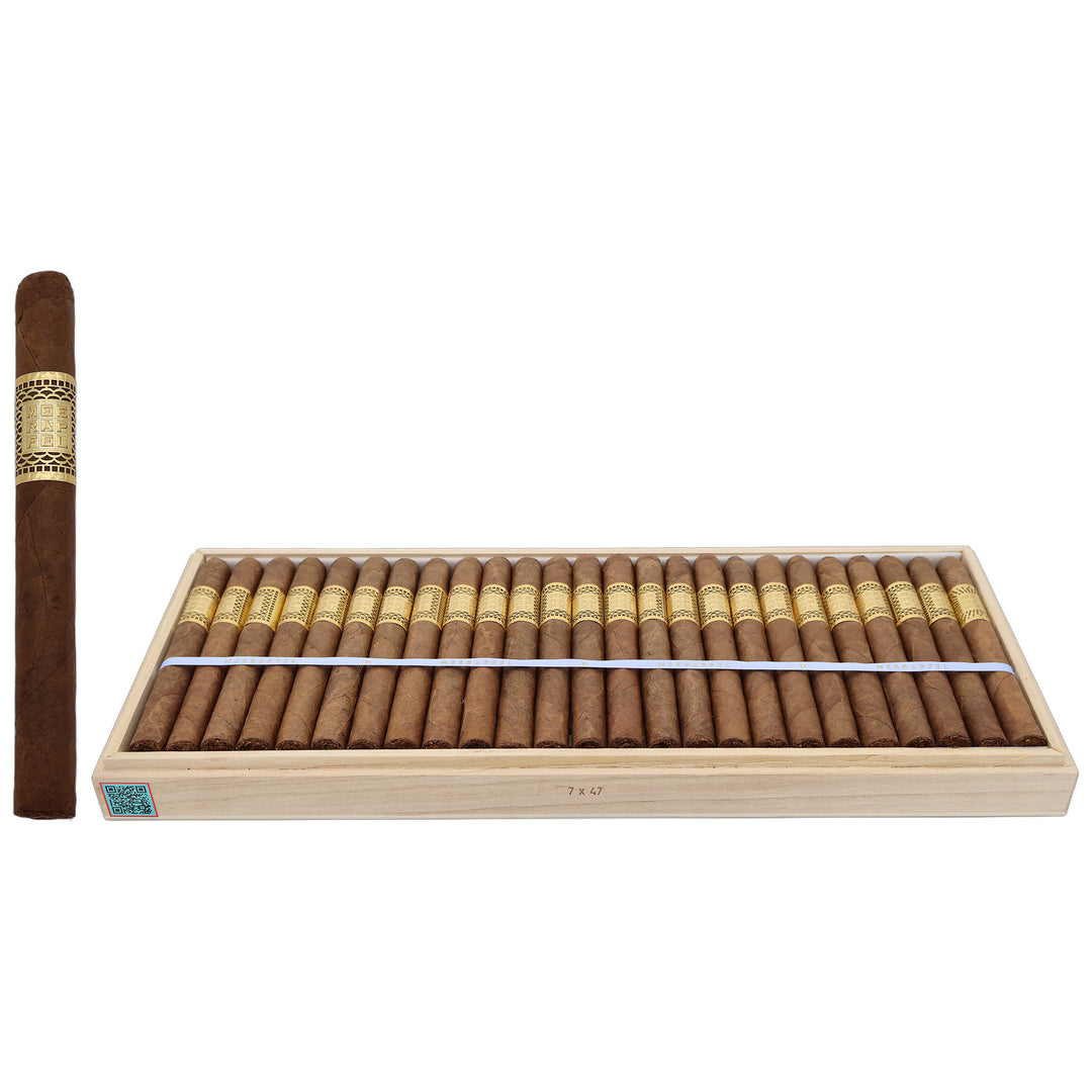 Meerapfel Ernest Churchill (7.0" x 47)