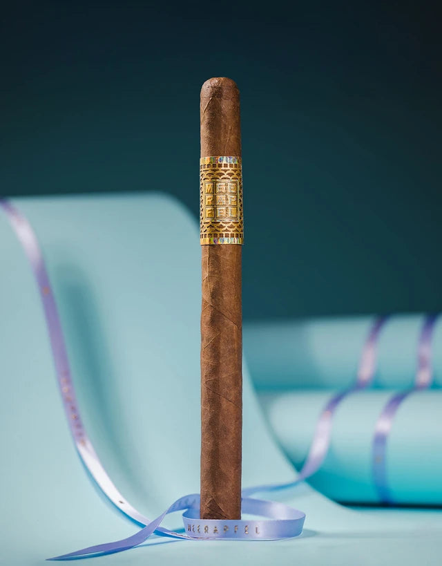 Meerapfel Ernest Lancero cigar, 7.5 x 40, African Cameroon wrapper