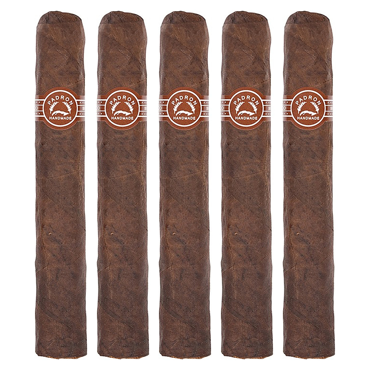 Five Padron 2000 Maduro cigars, 5 × 50, lined up side by side