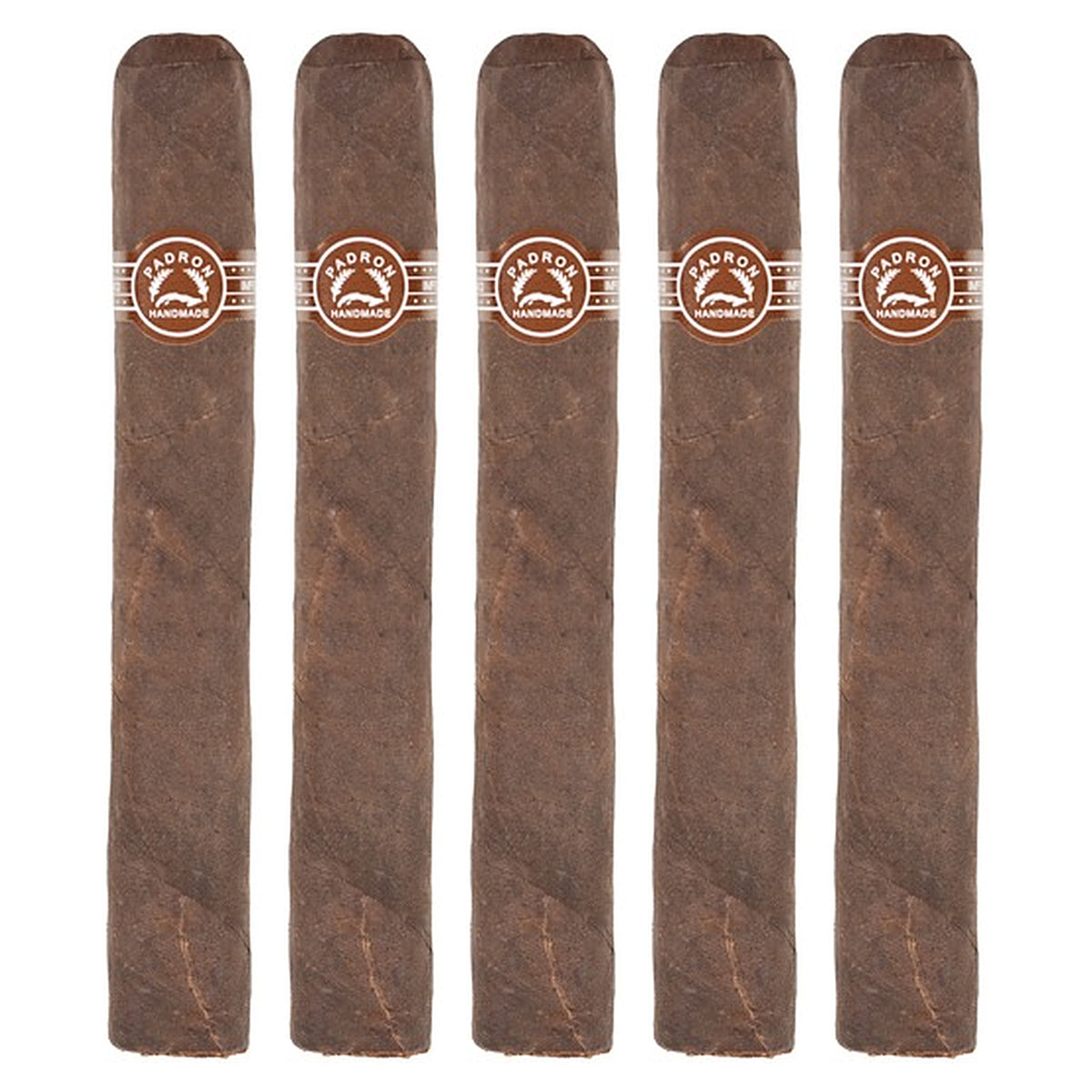 Five Padron 3000 Maduro cigars, 5.5 × 52, lined up side by side