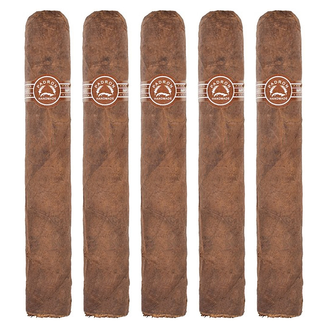 Five Padron 5000 Natural cigars, 5.5 × 56, lined up side by side