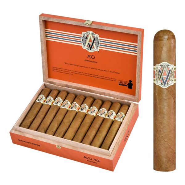 Avo XO Intermezzo (Robusto) (5.0" x 50) - TRP Cigars