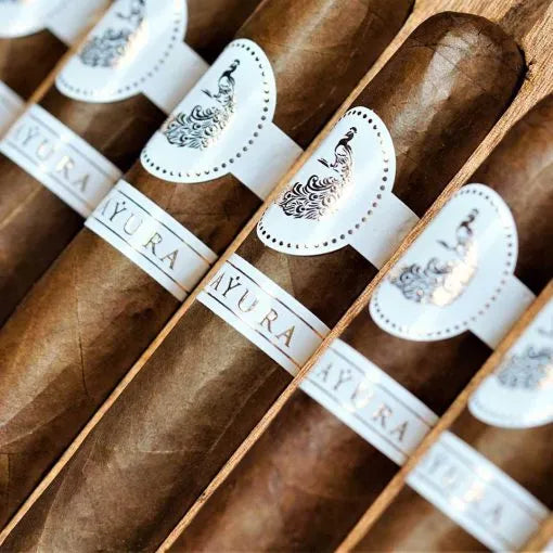 MBombay MQBA Mayura Robusto (Robusto) (5.0" x 54)
