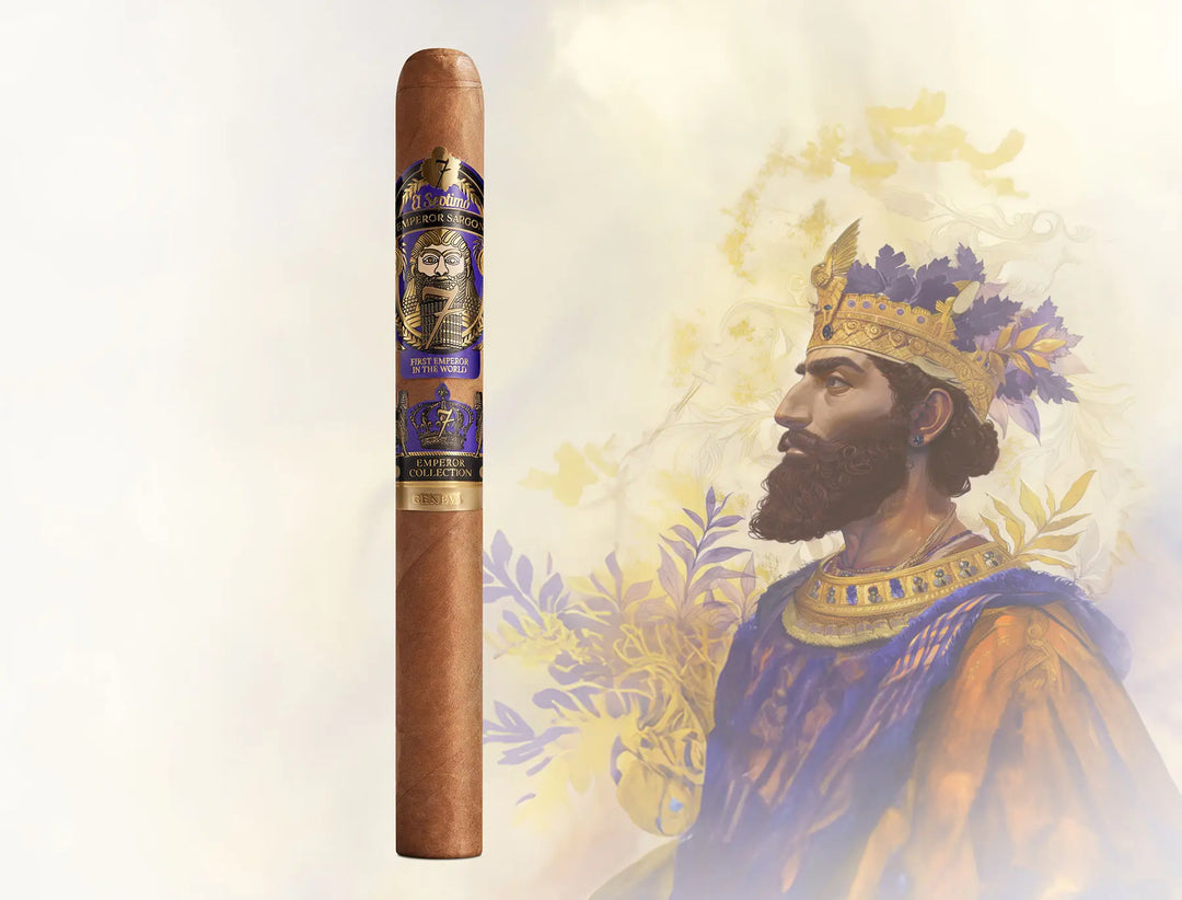 El Septimo King Sargon Humidor with Cigars