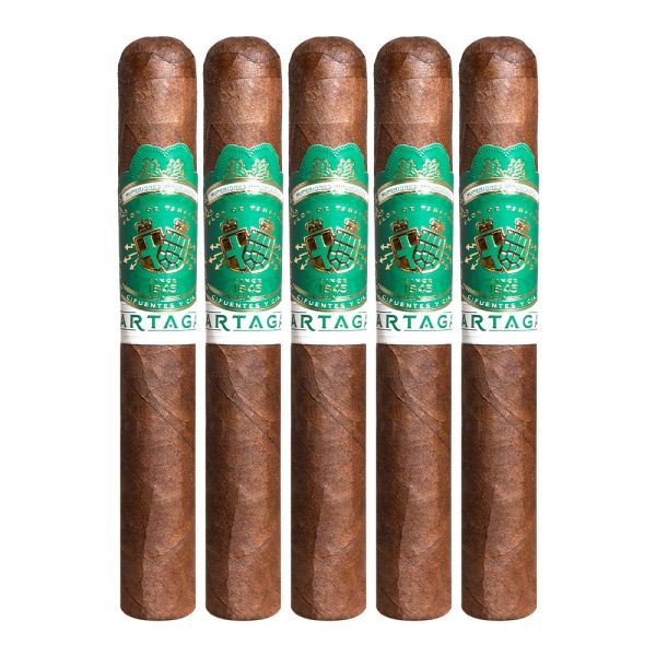 Partagas Valle Verde Toro Cigar | Premium 6.0" x 52 Toro